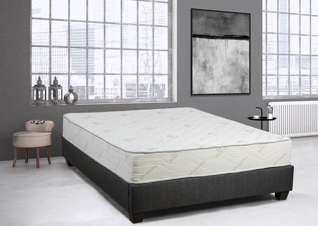 Primo Amore Twin Mattress 774207 at FurnitureLand,Furniture Land
