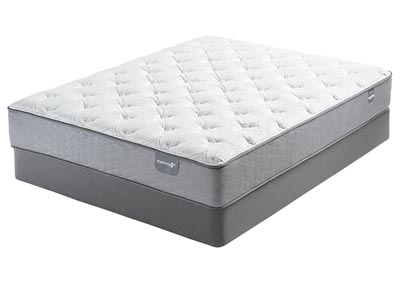 Image for Mattress 1st Mattresses Dickinson Firm Queen Mattress 793669 at FurnitureLand