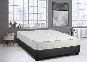 Image for Primo Amore Twin Mattress 774207 at FurnitureLand
